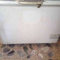 مجمدة • حجم كبير • كربلاء الحسينية