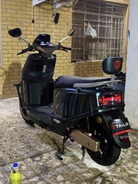 شحن • ٢٠٢٥ • زيتوني