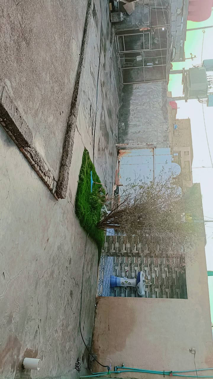 سلام عليكم دار للبيع حي سعيد قرب مدرسه الوتاد بيت مصفر معامله كامله بسمي يتكون من 2-عرف نوم +هول كبير + صحيات حمام داخلي مستعجل على البيع  الإتصال ***********-
