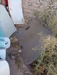 فره كاملة • رأس الثور • نجف