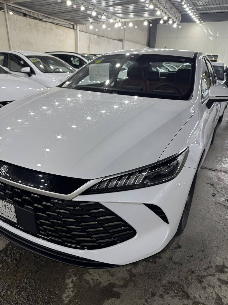 سيارات قسط بدون كفيل الكاسب
تدفع مقدمه والباقي قسط شهري 

العنوان بغداد معارض البياع


**إذا كنت صاحب هذا الإعلان وتريد حذفه لأي سبب، رجاءا أرسل رسالة إلى الدعم الفني**