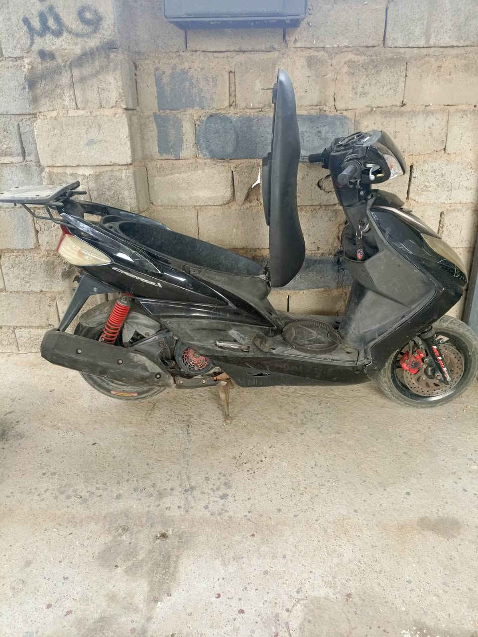 فحل ياباني للبيع استفسار واتساب ***********بغداد
