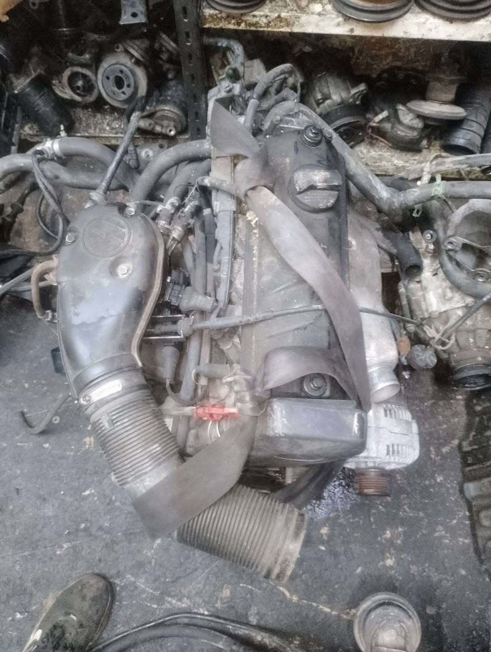 يتوفر محرك كولف وارادالمانيا🇩🇪 توصيل لجميع المحافظات  تواصل واتساب
***********
***********
