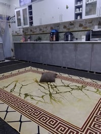 بيت زراعي أسهم خلف جامعه الامام الصادق كافه خدمات مساحته ٣٠٠ بناء حديث...