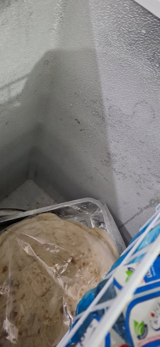 مجمده نوعيه فريش
١٤ قدم نظيفه جدا
ماداخله تصليح ...رايدتها ب٢٢٥ وبيها مجال بسيط
رجاءا المايشتري لايتعبني ...العنوان حله حي العسكري شارع ٣٠


**إذا كنت صاحب هذا الإعلان وتريد حذفه لأي سبب، رجاءا أرسل رسالة إلى الدعم الفني**