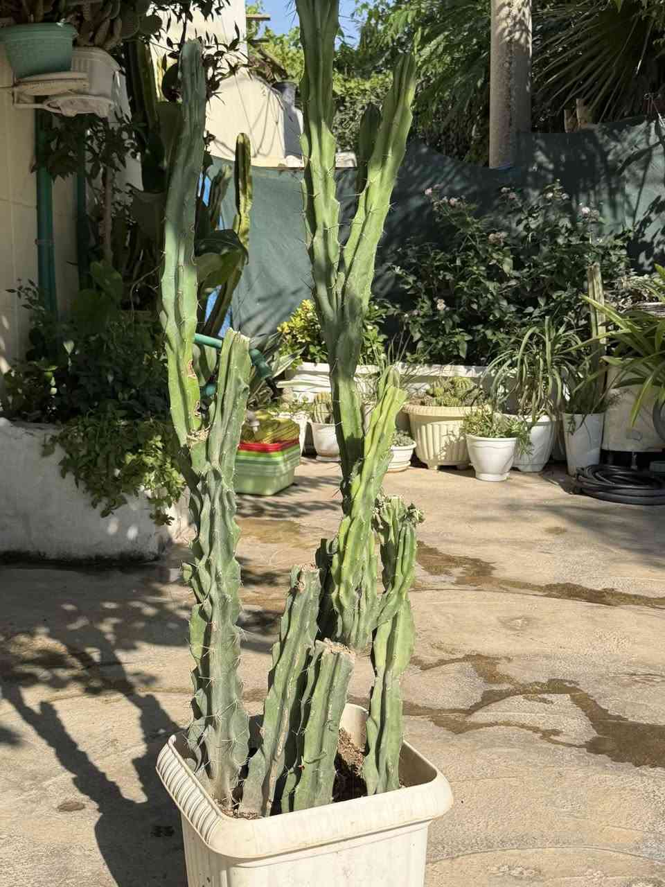 بوفروشتن كه لار


**إذا كنت صاحب هذا الإعلان وتريد حذفه لأي سبب، رجاءا أرسل رسالة إلى الدعم الفني**