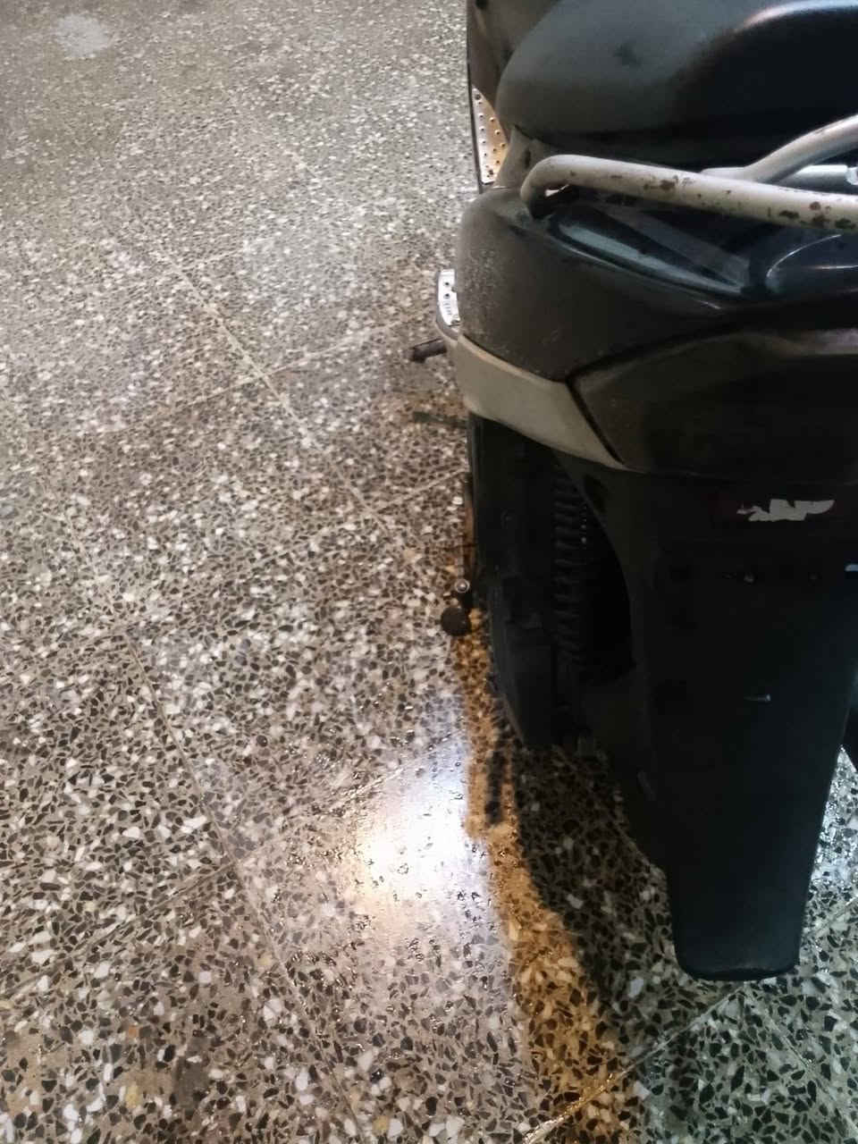 منغولي للبيع دراجه خير من الله 
مكاني بغداد الزعفرانيه 
سعر 450وبيه مجال 
***********وتساب فقط
