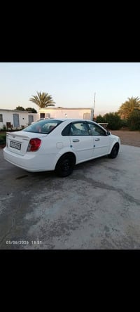 بترا 2013 • فول • صلاح الدين دجيل