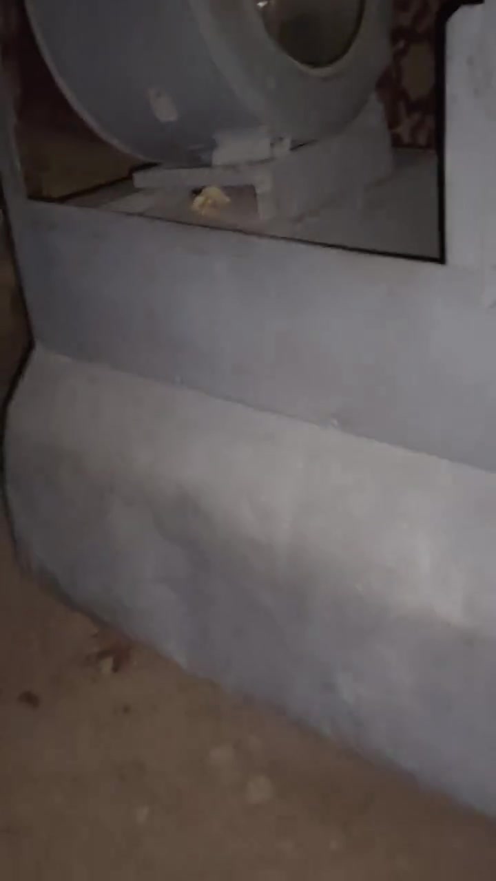 للبيع ب سعر مناسب


**إذا كنت صاحب هذا الإعلان وتريد حذفه لأي سبب، رجاءا أرسل رسالة إلى الدعم الفني**