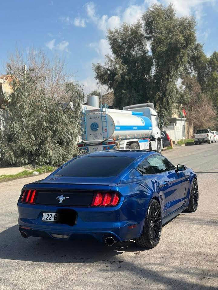 بيع او مراوس

موستنك ستة سلندر 

‏Mustang 2017 V6

كير محرك اكسل شرط

صبغ  3 قطع 

ايرباك فقط ستيرن

ماشيه 85 ميل

صدر امامي خلفي جديد

تبريد كهربائيات شرط

سياره شرط مابيها مصرف نهائيه

رقم اربيل تحويل شرط 

مكان سياره اربيل

سعر 145$ وبي مجال 

للبيع او مراوس شمالي فقط

واتسئاب : ***********

‏ أربيل, العراق
