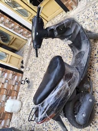 ساسوكس • رياضي • سلف وهندل