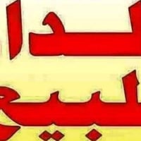 أبو خصيب أبو جوزي • ١٠٠م • تسليم مفتاح