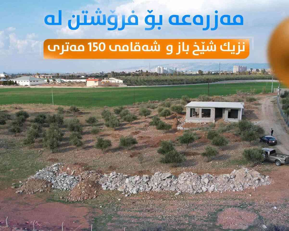 مەزرەعە بۆ فرۆشتن 
لە شێخ باز 
پێکهاتوە لە 1 دۆنم زەوی 
پڕە لە داری زەیتونی بەر دار 
هەیکەلێکی 250 م خەریتە تورکی 
ئاو و کارەبای هەیە
نرخ 6 دەفتەرو مەجالێکی کەم
ژ.م   *********** أربيل, العراق
