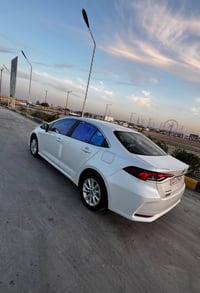 كورلا ٢٠٢٤ • خليجي • رقم اربيل