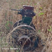 مطور لستر • وياه خنزيرة