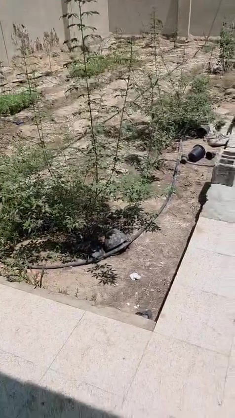 مزرعه للبيع طريق زبير سفوان مجاور معمل ديالى٣ دونم مسيجة سياج بي ار سي سعر 55


**إذا كنت صاحب هذا الإعلان وتريد حذفه لأي سبب، رجاءا أرسل رسالة إلى الدعم الفني**