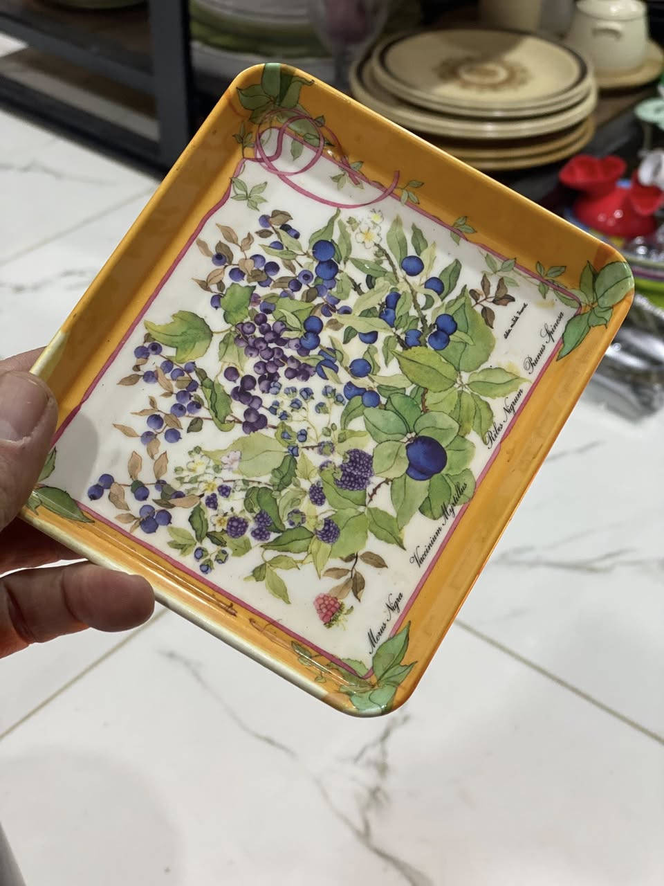 حتى اصغر لمسة تظيف جمال للمكان..🎉
مع(الاصلي) يكون انفرادك باشيائك سحر
والنظر اليها بأبتسامة يملائها حب الامتلاك.
يوجد توصيل داخل وخارج الانبار🛵🛵🚀


**إذا كنت صاحب هذا الإعلان وتريد حذفه لأي سبب، رجاءا أرسل رسالة إلى الدعم الفني**