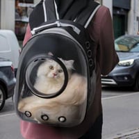 شنطة • توصيل • بغداد حي اور