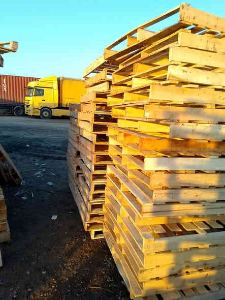 سكيب ابو سير العدد 60السعر 3500العنوان بغداد الدورة قرب علوة الرشيد الهاتف ***********
