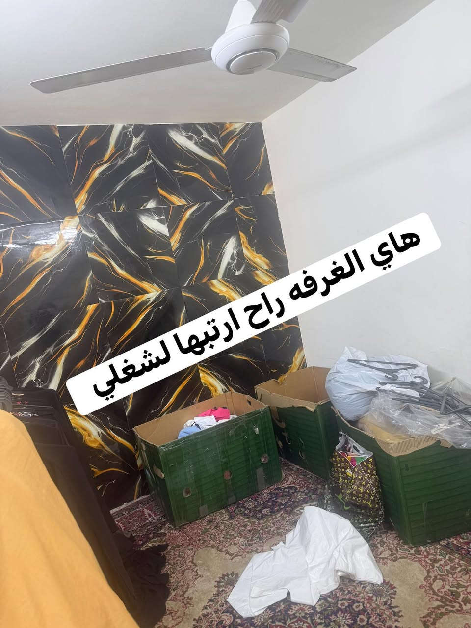 وأخيرًا صار عندي غرفة خاصة لشغلي وللبث. 🤍

بصراحة، كنت أبث من غرفتي، وبضاعتي كانت متفرقة بين مدخل البيت وتحت الدرج، لكن أول حلم بسيط إلي تحقق والحمد لله.

ووصلتني هواي رسائل تسأل: “وين محلكم حتى نجيكم؟”

حاليًا شغلنا فقط أونلاين ومن خلال الصفحة، لأن عندي امرأة كبيرة بالبيت، وهي جده زوجي، وإذا فتحنا محل أنا وزوجي لازم يكون أكو أحد يهتم بيها. وما أكدر أخليها وحدها، أخاف يصير بيها شيء لا سمح الله.

لهذا السبب شغلنا حاليًا فقط عن طريق الصفحة، أنشر المنتجات وأفتح بث مباشر. أما تيك توك فما أگدر أفتح بي، لأن بيه هواي تجاوزات، وطبيعتي ما أتحمل الكلام الجارح أو المسيء.

وبعدني ناقصني أضيف لوكو ضوئي للغرفة وستاند حتى يصير شغلي أكثر احترافية.

وإذا عدكم أي ملاحظات أو نصائح تساعدني أطور من عملي، أنصحوني بيها، خواتي وإخواني. 🌷

أنا أوفر ملابس أوربية من تصفية المولات، وإذا أحد منكم يحب يتابع الحساب، أتشرف بيه.

وبعد قليل إن شاء الله راح أنزل مجموعة جنط من ماركة ماكس. 

سرى نبيل هذا حسابي اذا تحبون اتابعوني وشوفون شنو انشر


**إذا كنت صاحب هذا الإعلان وتريد حذفه لأي سبب، رجاءا أرسل رسالة إلى الدعم الفني**
