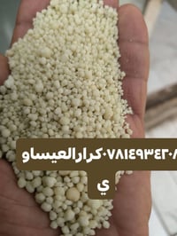 داب أبو الكفين • أردني المنشأ • بابل الكفل