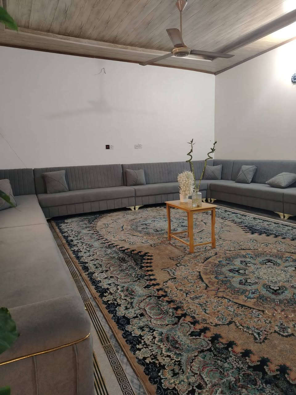 سلام عليكم
بيت 200 متر طابو زراعي سند 25
البناء طابوق اساس+سقف صب

يحتوي على غرفتين و صالة و استقبال و مطبخ حار و بارد و حمام داخلي و خارجي وحديقة  و مكشوفات 2 

موقعة شارع المطار القديم قرب جامع ام البنين القبة الذهبية 

للاستفسار ***********
