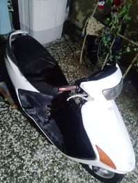 فراشة ياباني • بحالة جيدة • كربلاء