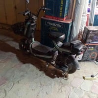 دراجة شحن • حجم ١٤ • نجف