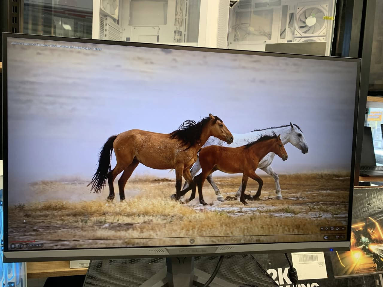 مونيتةر مينيفاير كيمينك 
٢٧" ٢٤٠هـيرتز
١م س
متحريك 
كڤر الشاشة من الظهر RGB
سعر ٢٧٠ الف 
٦شهـر ضمان
اكو توصيل كل محافظات


**إذا كنت صاحب هذا الإعلان وتريد حذفه لأي سبب، رجاءا أرسل رسالة إلى الدعم الفني**