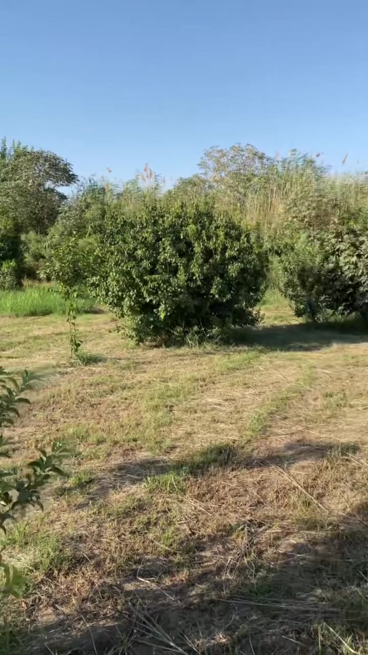 السلام عليكم 
شاطية دونمين مع دار سكني للبيع في واسط الصويرة منطقة الداور الشرقي مزروعة بستان مرتبة كلش متوفر كافة الخدمات ماء سقي ماء اسالة تبليط كهرباء الوجه على الشارع 28 متر الوجه على الشط 31 متر للأستفسار التواصل على الأرقام التالية 
***********
***********
