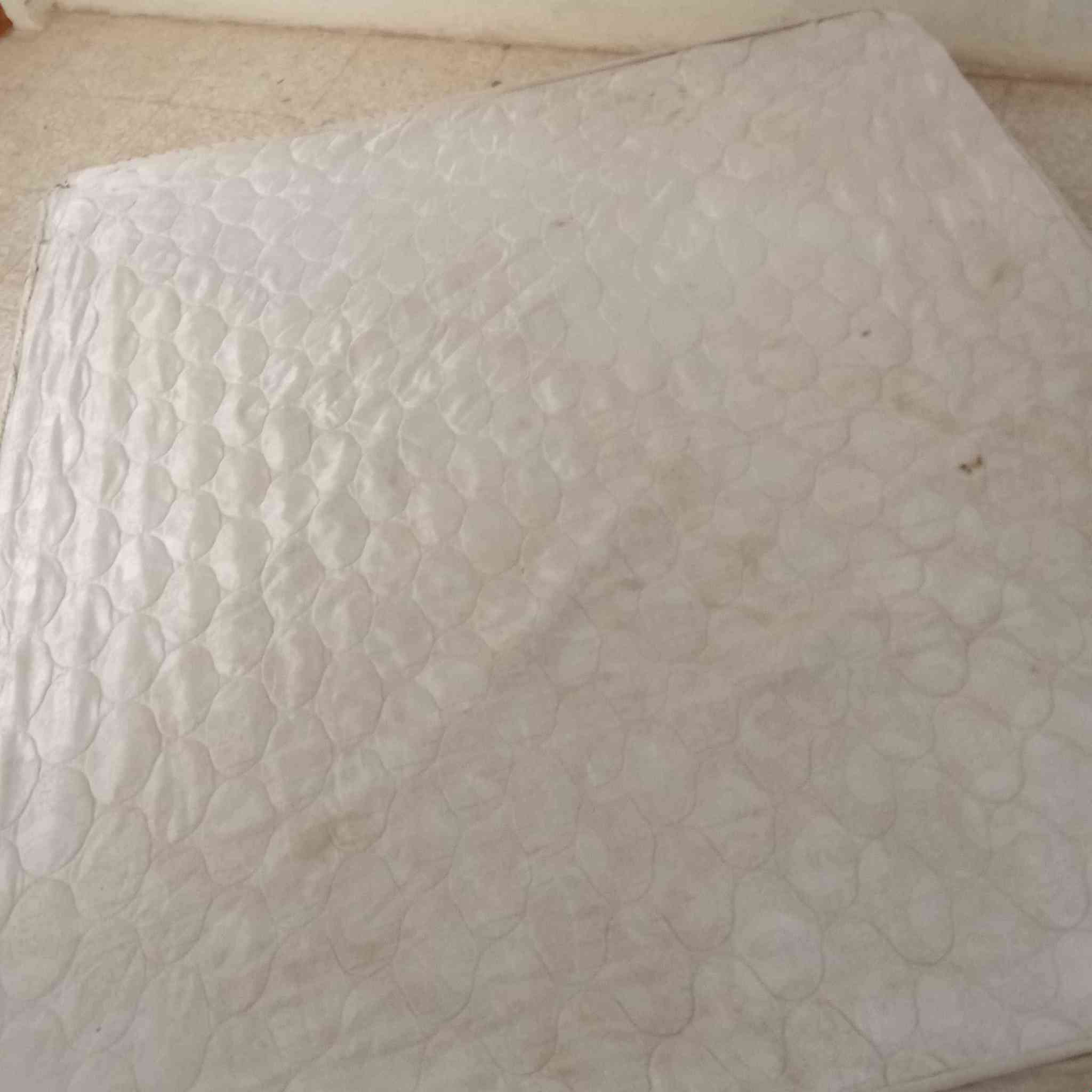 دوشك طبي ب ٢٥ عنواني نجف *********** Singapore
