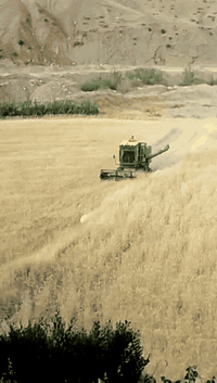 دەڕاسە جوندێر سترات خاس ئێرانی مۆدێل 2012 تەپەڵەی 14ی بیلاد دەڕاسەکە حاڵێن بەلەمەو یەک ساڵ کاکوتی کردە عەشیای بەلەمو  کاکوتێ بۆکانی دووپەنکەی تازەکانی لەگەڵە  ماشەلڵەی ئەوێ نەتەقین نەلەحیم هیچی پێوە نیە  کامل تەعمیر کراوە بۆ بەلەم حازرە بۆ ئیش کارەبایو تەبریتو لایتو گڵۆپو هەمووی لۆکە    بۆسعر پەیوەندی بکە به 

***********
