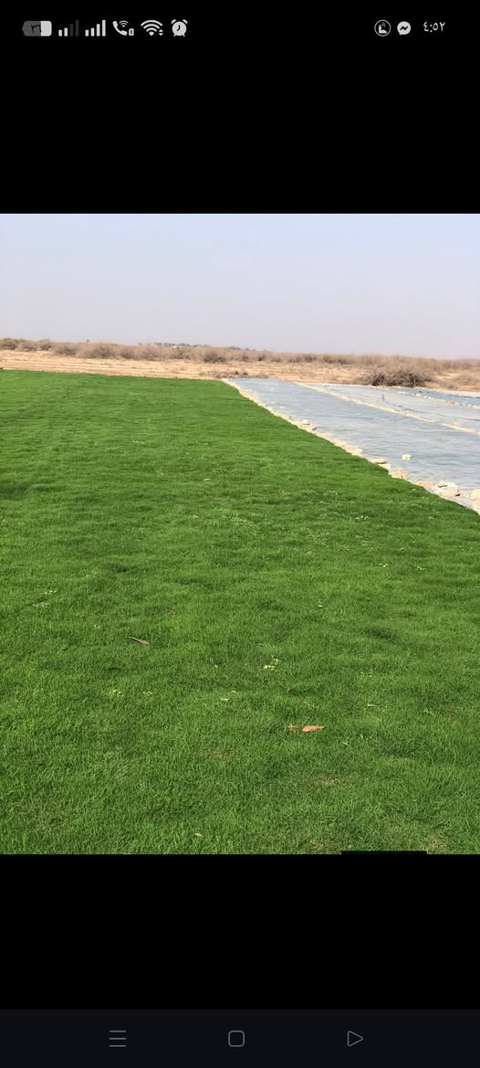 يوجد انواع ثيل الطبيعي لجميع المحافضات العراق اتصل ودلل #***********
