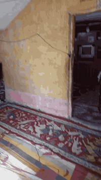 سلام عليكم بيت لبيع اب شارع عشرين  لمساحه 260 تواصل عل نتصال  ***********3
