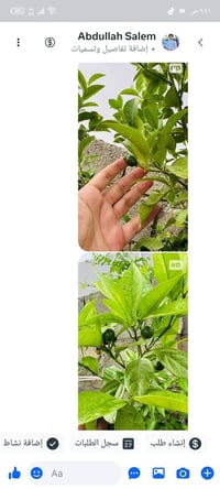🌿 في مشتل الظلال  � نحرص دائمًا على المصداقية في الصنف والنوع، ونوفر ا...