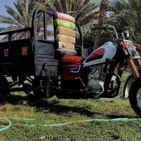 ستوته كلك كلك • كهربائيات شغاله • شطره ال سليمان