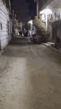 البوبيات • دار للايجار • ١٠٠م