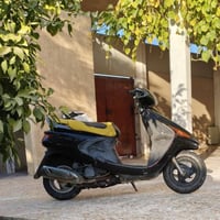 فراشة • استعمال قليل • النجف الأشرف