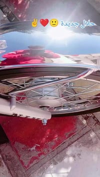 سكنر • ٢٠٢٦ • اوراق