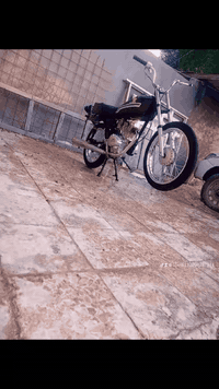 للبيع اصولي ‏‪***********‬‏
