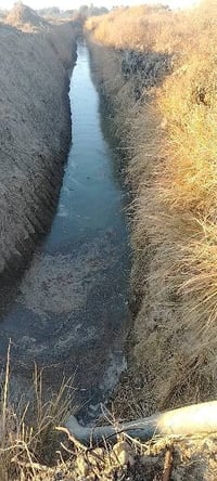 صوره الشهداء العويدي • ١٥دونم • طابو