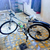 بصرة • حيانية • دراجة