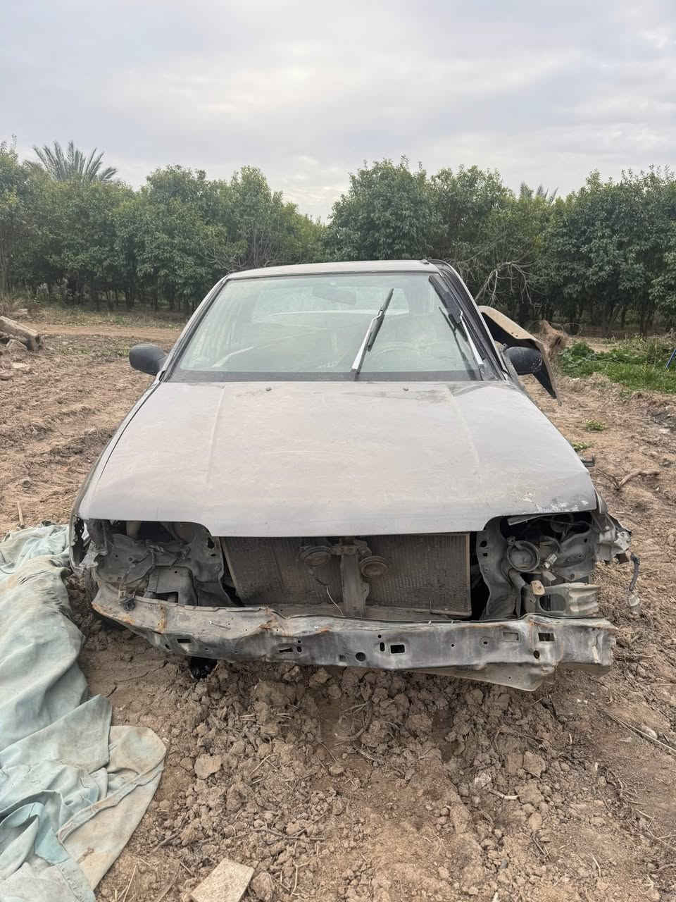 بس الشراي يتصل 👍❤️


**إذا كنت صاحب هذا الإعلان وتريد حذفه لأي سبب، رجاءا أرسل رسالة إلى الدعم الفني**