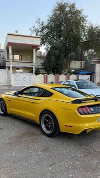 موستانج • ٢٠١٥ • كركوك