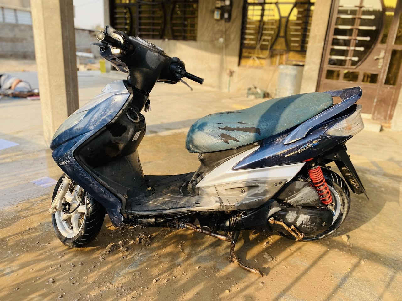 سكنس فحل ياباني  چاملق خلفي وأمامي موجودات بس اني فليتهم عنوان بغداد  السعر 650.    ***********
