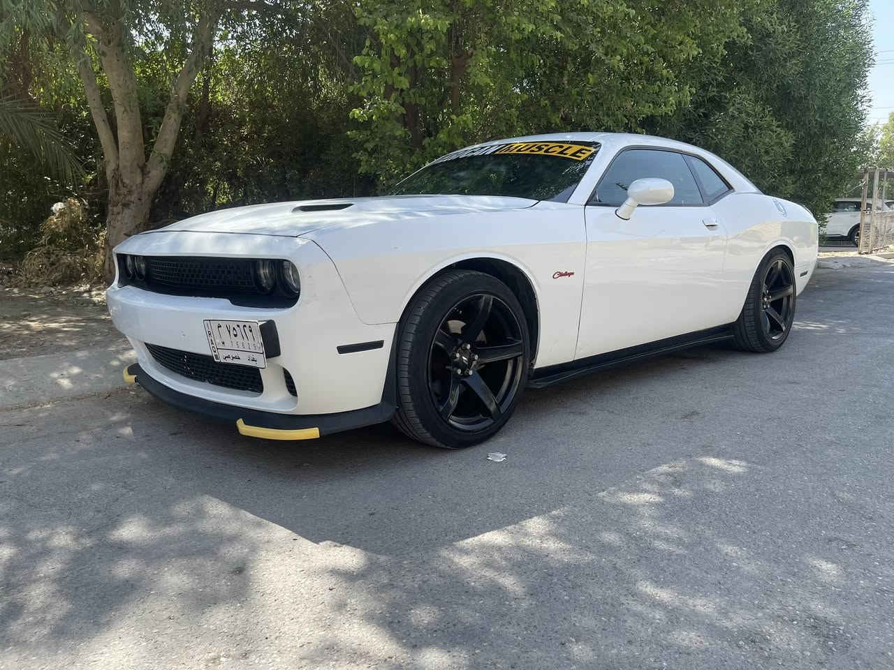 جالنجر ٦سلندر ٢٠١٨ 
ماشيه ٨٣
حادث ٣قطع الامامية وبين بارد بين الباب والجاملغ عكس سايق 
برجمة   الياس 
شوته رياضي
شفتات 
سستم  صوت بايونير 
صاينه كامله عليه كت اضافات srt
السيارة باسمي 
رقم بغداد
السعر 147 $ وبيه مجال 
***********
