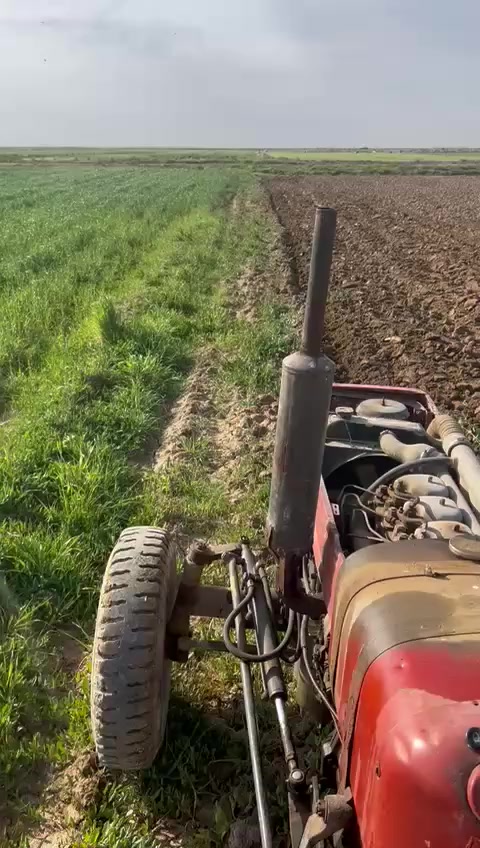 عنتر للبيع 89 مكان ميسان السعر
3 ونص ***********
