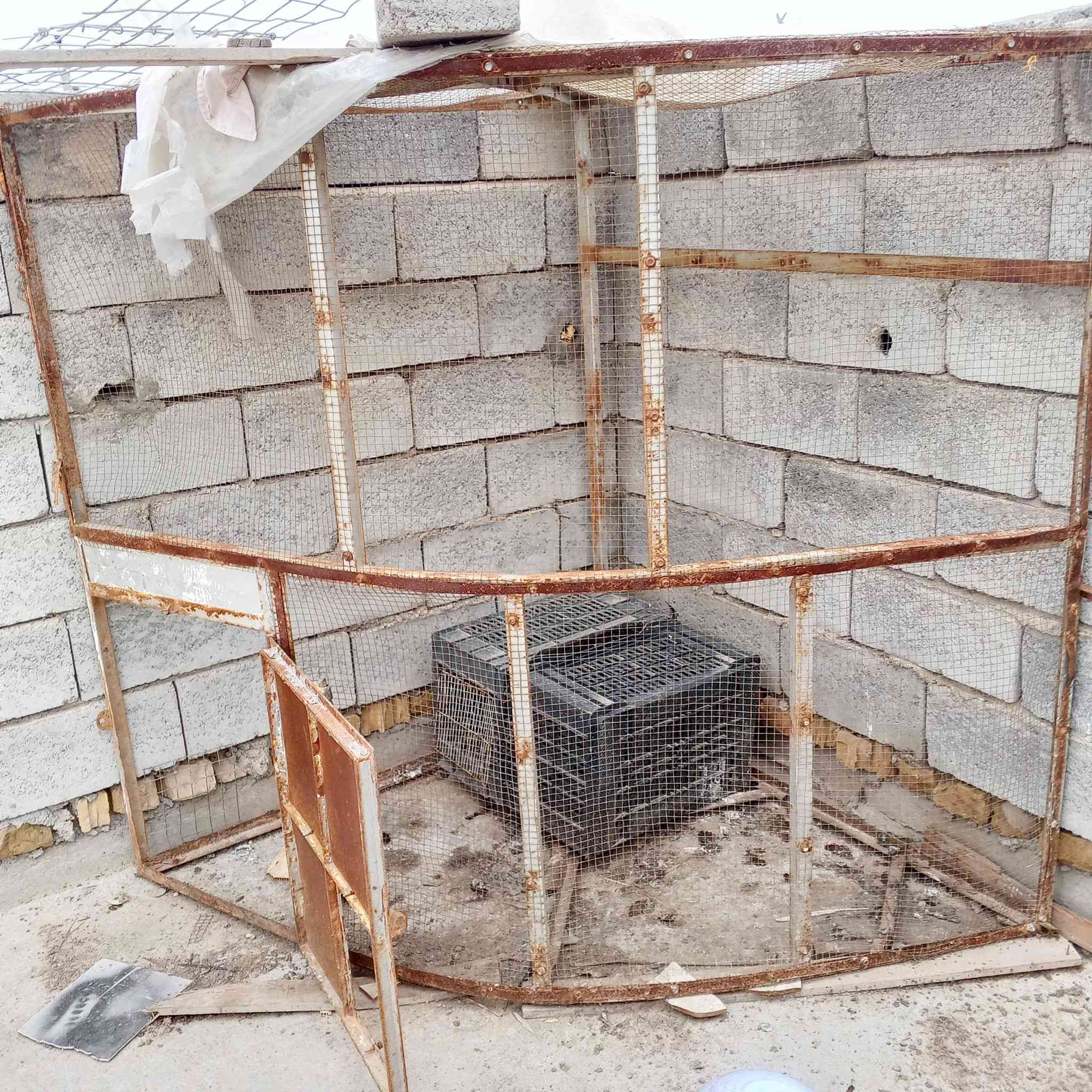 سلام عليكم قفص زاويه حديد البيع السعر 35 وبي مجال شراي ادخل خاص


**إذا كنت صاحب هذا الإعلان وتريد حذفه لأي سبب، رجاءا أرسل رسالة إلى الدعم الفني**