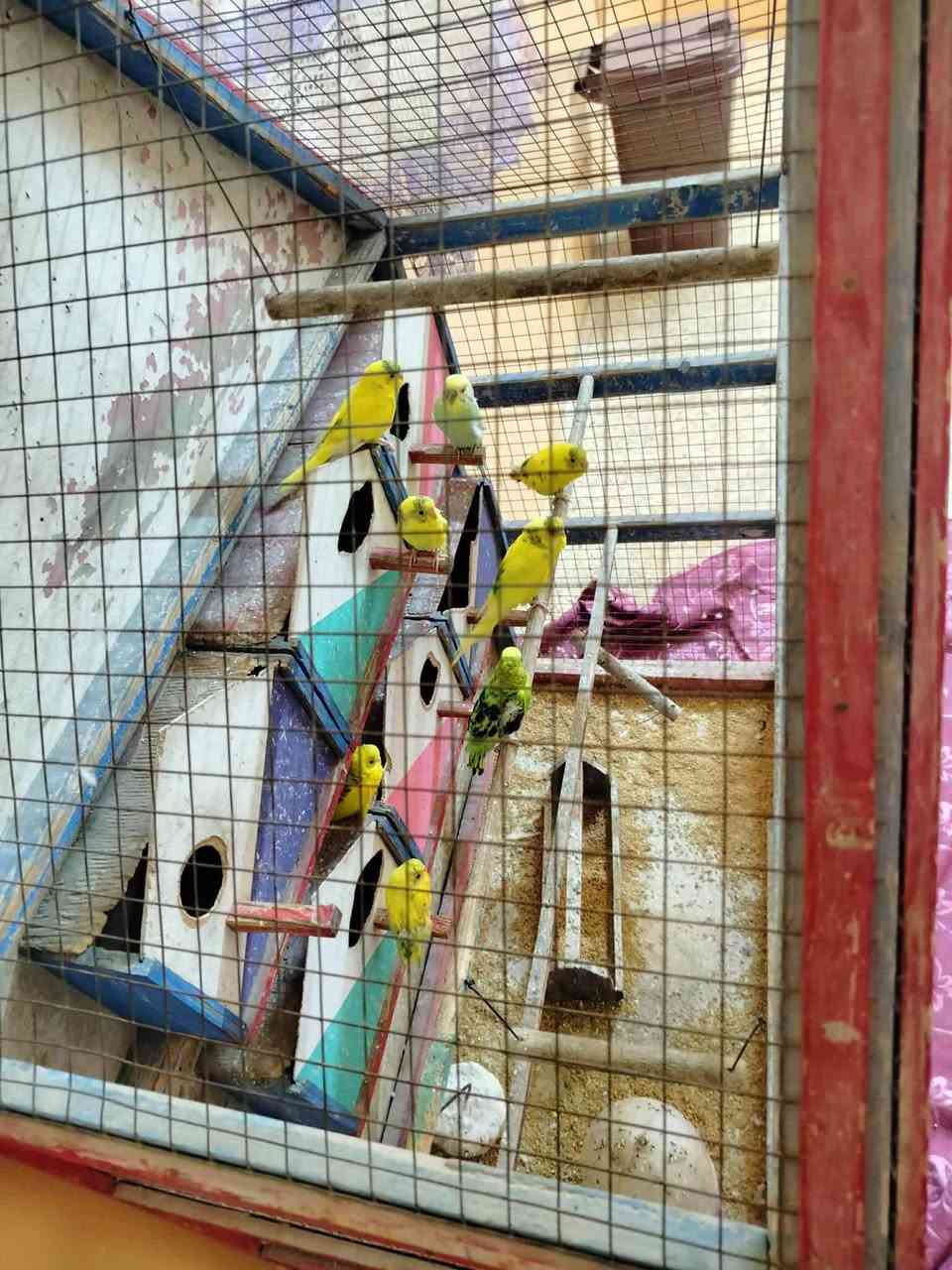 للبيع ثلاجه وضع شركه


**إذا كنت صاحب هذا الإعلان وتريد حذفه لأي سبب، رجاءا أرسل رسالة إلى الدعم الفني**