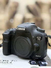 كانون 7D مارك2 • عدسة 70-200 • نظيف جداً
